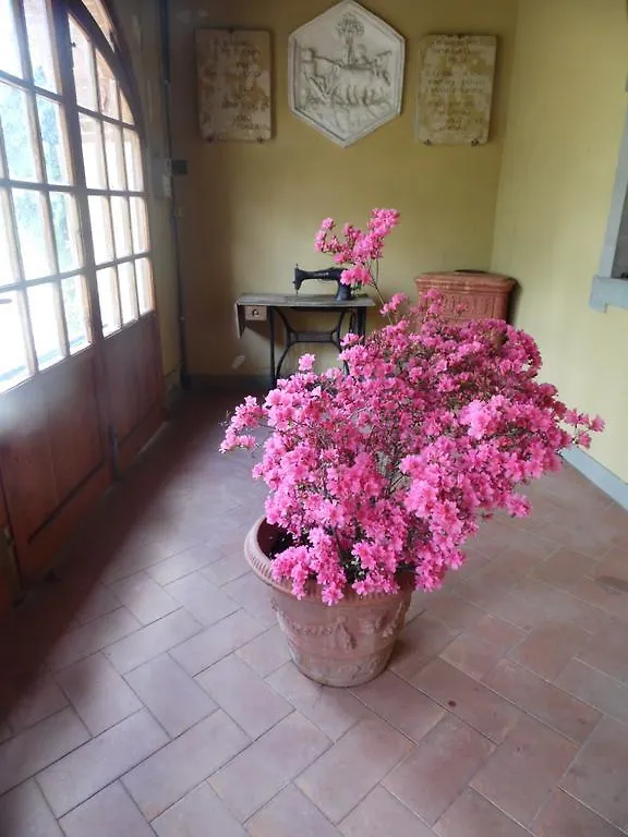 B&B Villa Francesca Rignano Sull Arno Italy