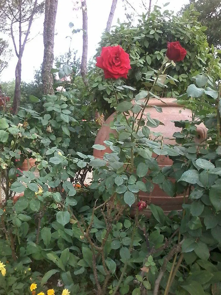Holiday home B&B Villa Francesca Rignano Sull Arno