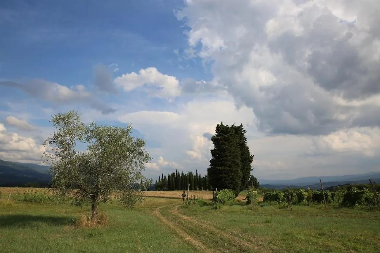 B&B Villa Francesca Rignano Sull Arno