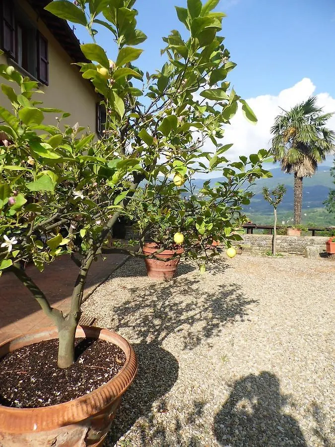 Holiday home B&B Villa Francesca Rignano Sull Arno