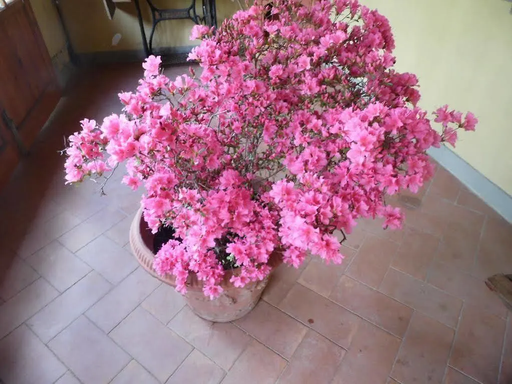 Holiday home B&B Villa Francesca Rignano Sull Arno Italy